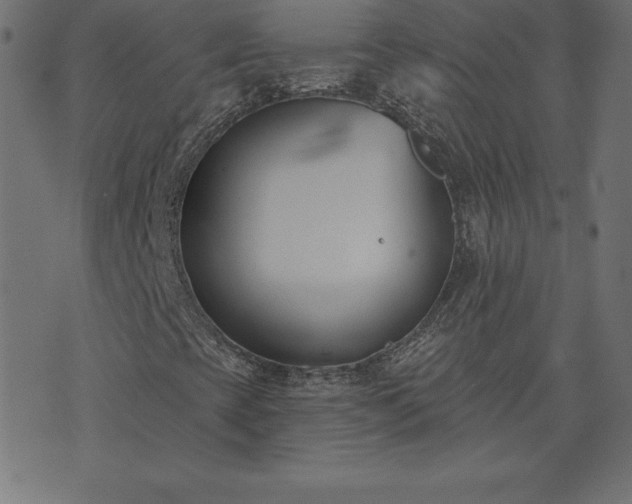 X0000073871393200608170955