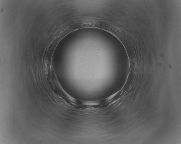 X0000073871394200608170955