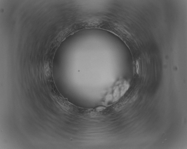 X0000073871395200608170955