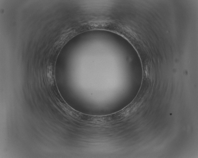 X0000073871396200608170956