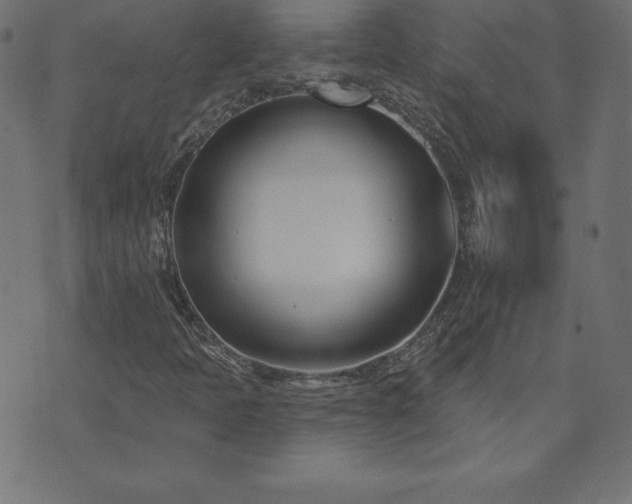 X0000073871397200608170956