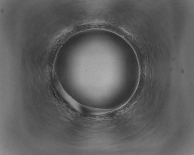 X0000073871398200608170956