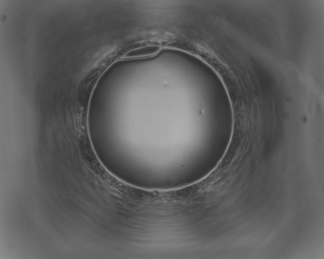 X0000073871399200608170956