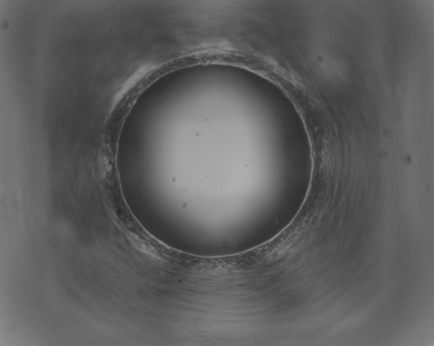 X0000073871400200608170956