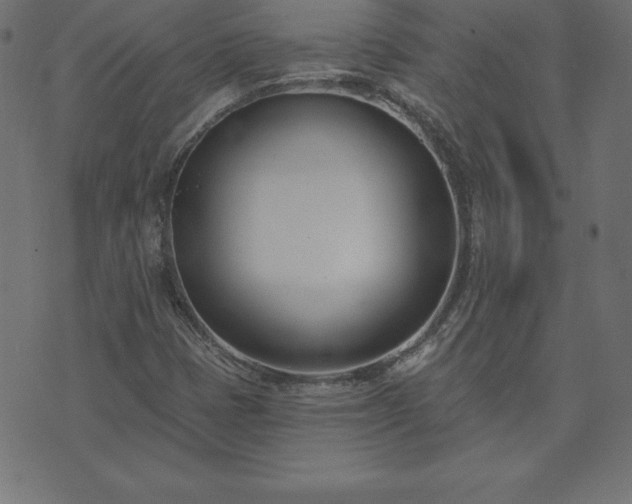 X0000073871401200608170956