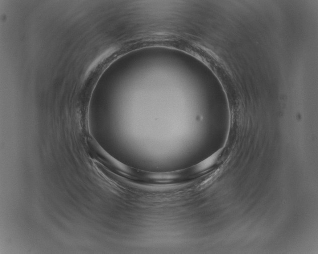 X0000073871402200608170956