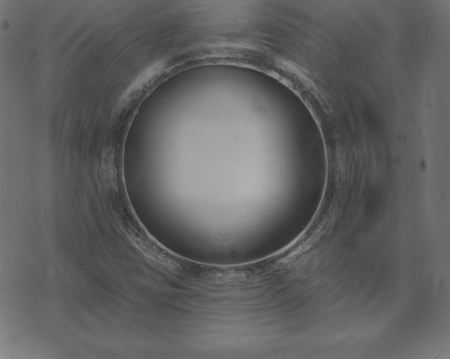 X0000073871403200608170956