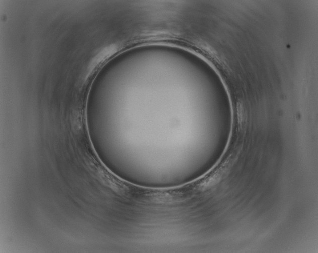 X0000073871405200608170956