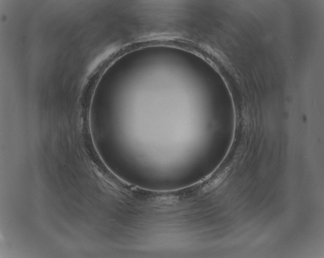 X0000073871406200608170956