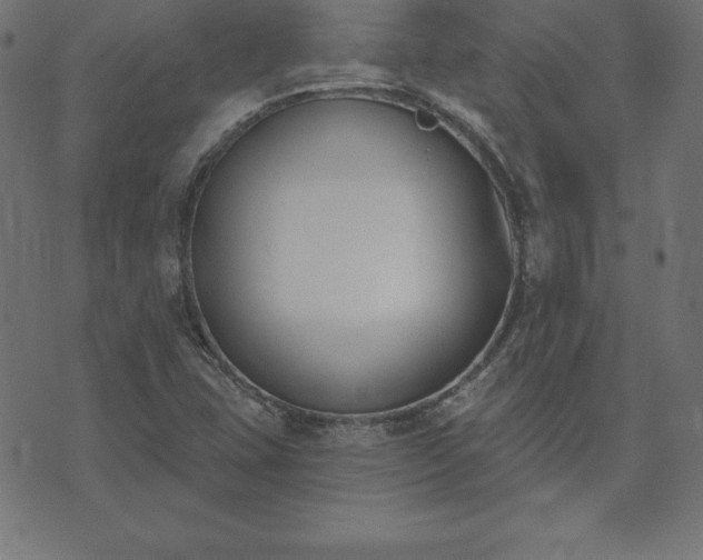 X0000073871407200608170956