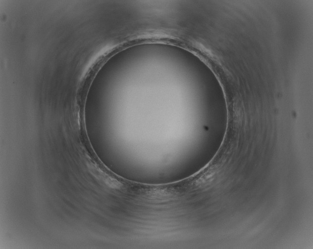 X0000073871408200608170956