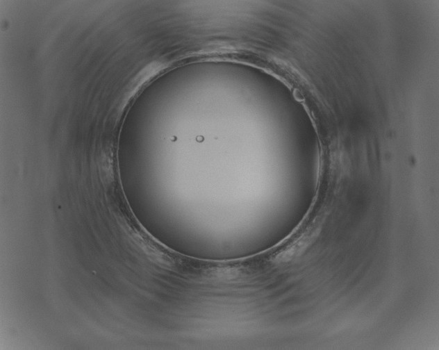 X0000073871409200608170956