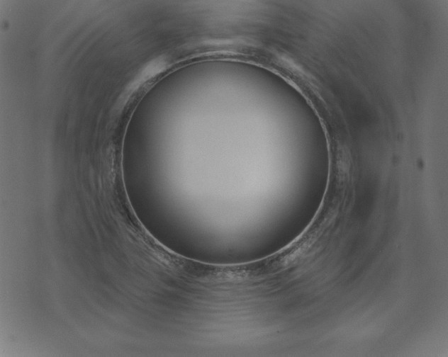 X0000073871411200608170956