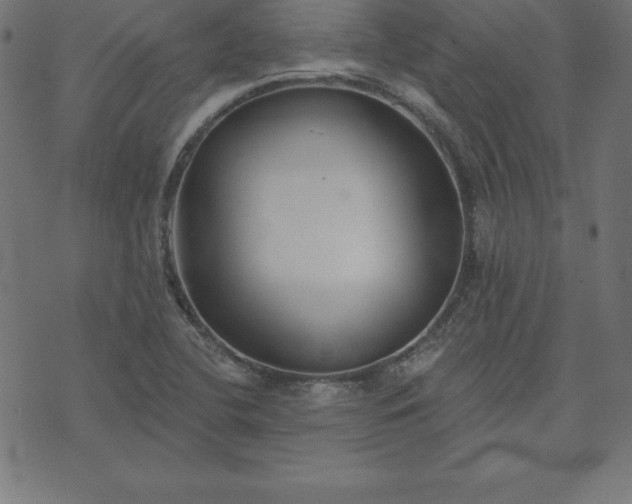 X0000073871412200608170956