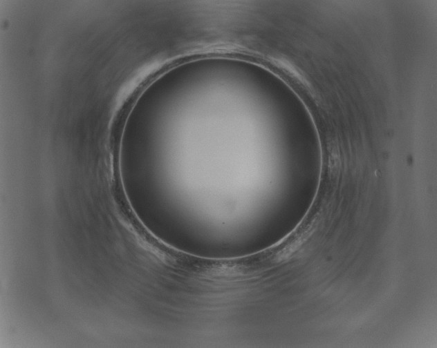 X0000073871414200608170956