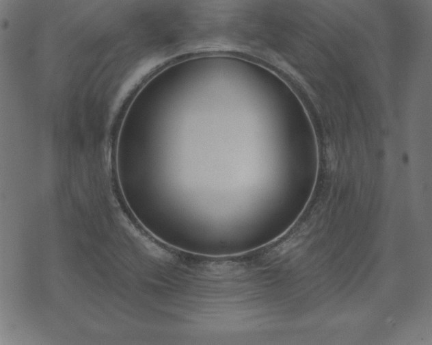 X0000073871416200608170956