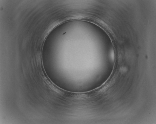 X0000073871417200608170956