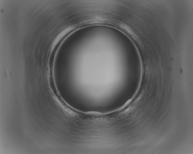 X0000073871418200608170956