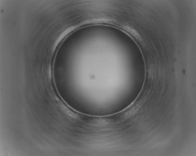 X0000073871420200608170956