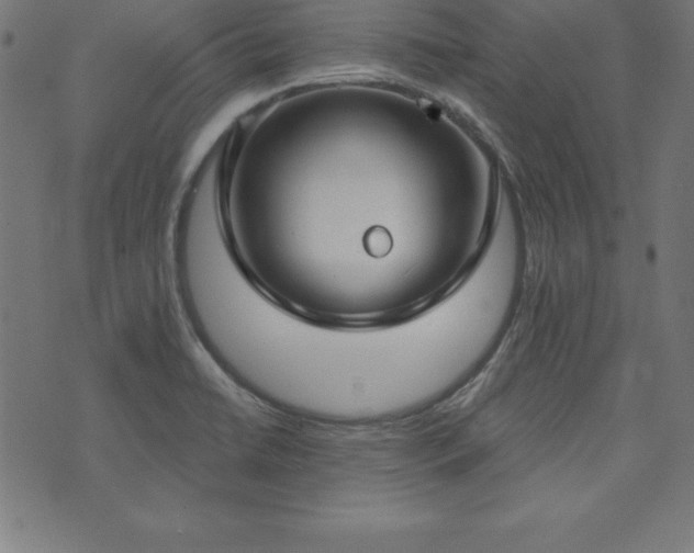 X0000073871422200608170956