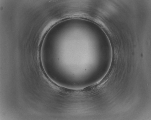 X0000073871424200608170956