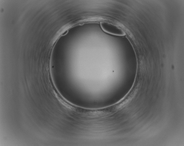 X0000073871425200608170956