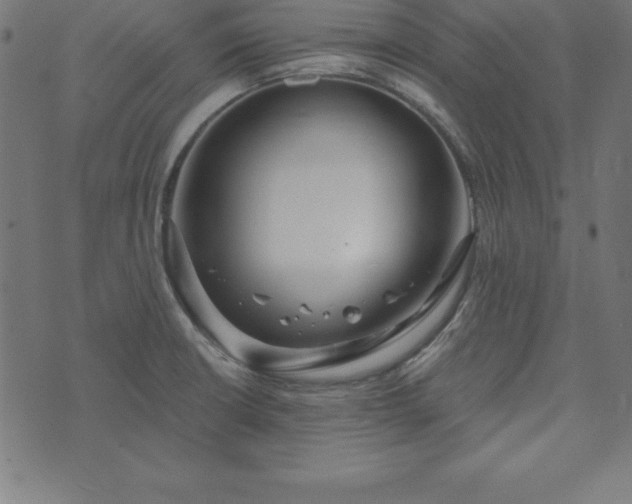 X0000073871426200608170956