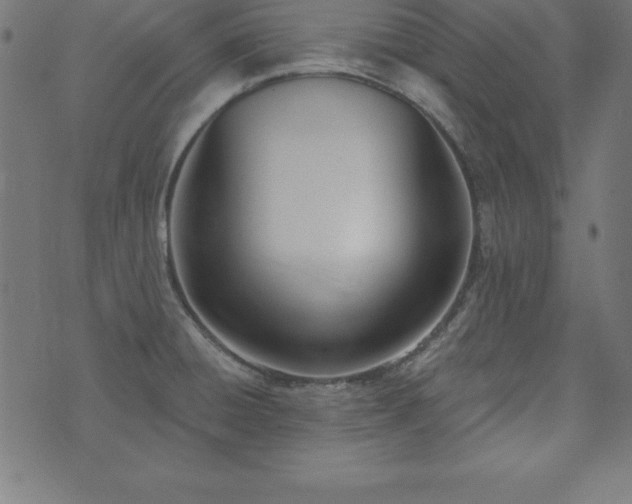 X0000073871428200608170956