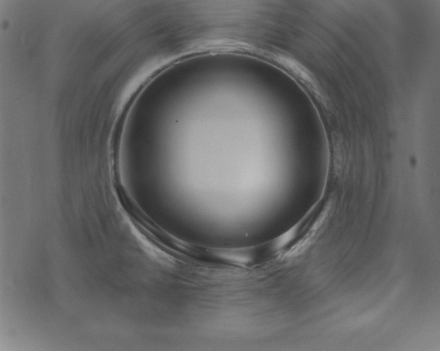 X0000073871430200608170956