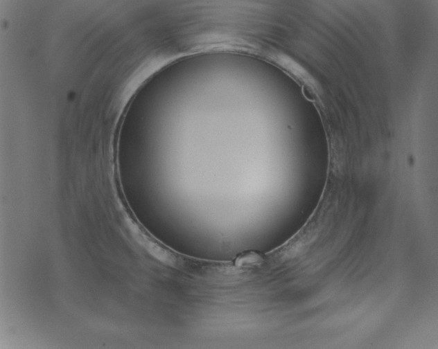 X0000073871431200608170956