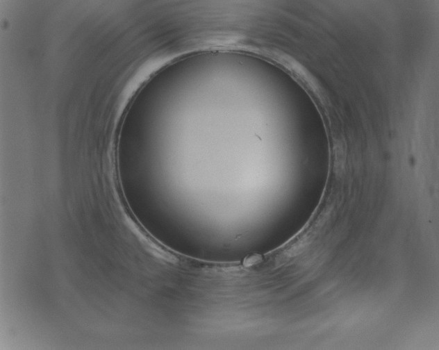 X0000073871432200608170956