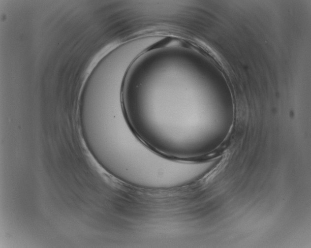 X0000073871434200608170956