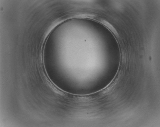 X0000073871436200608170956