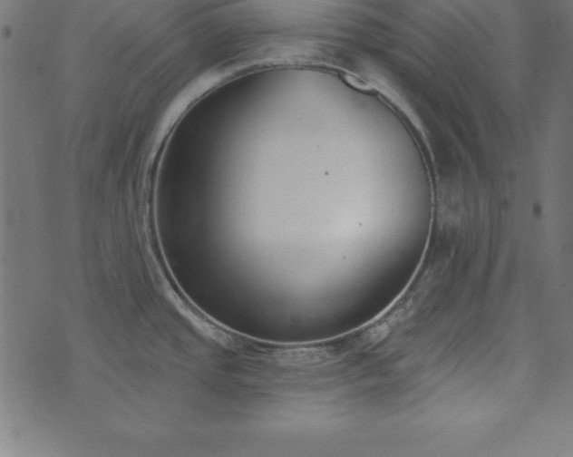 X0000073871437200608170956