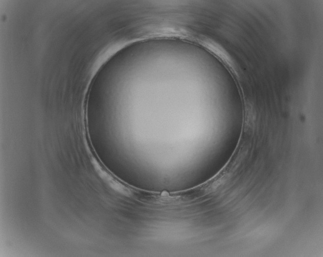 X0000073871439200608170956