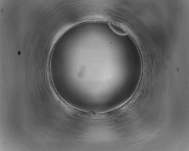 X0000073871440200608170956