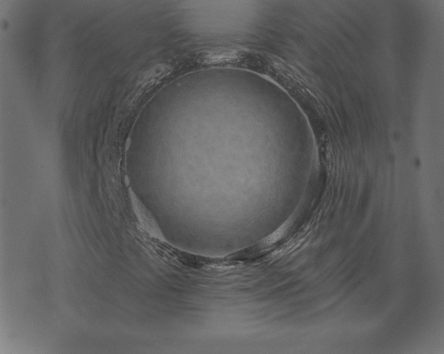 X0000073871441200608170955