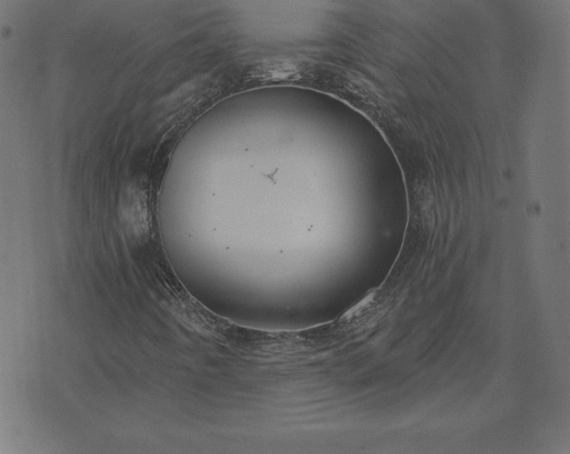 X0000073871442200608170955