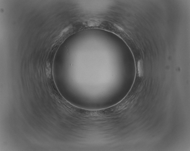 X0000073871443200608170955