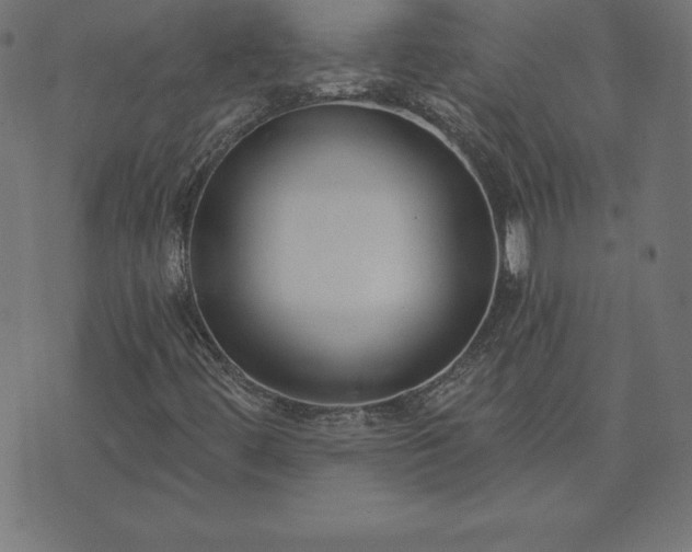 X0000073871444200608170955