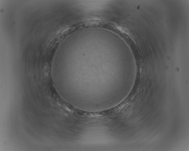 X0000073871445200608170955