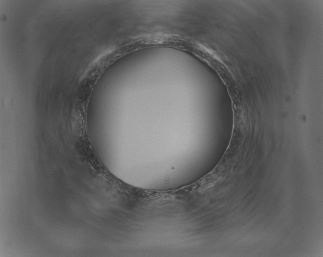 X0000073871446200608170955