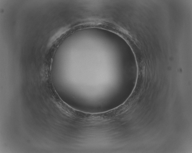 X0000073871448200608170955