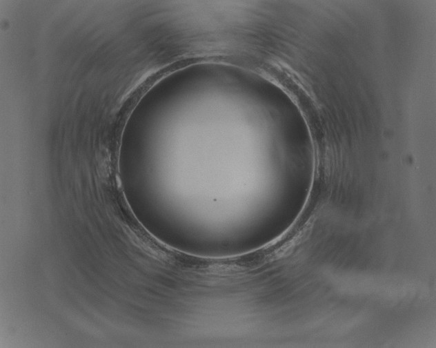 X0000073871449200608170955