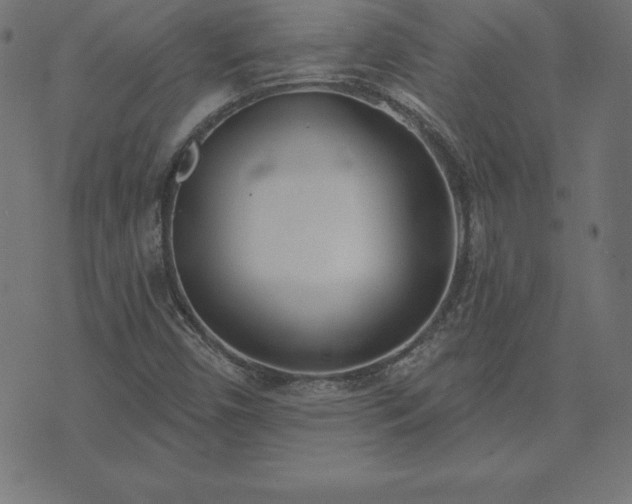 X0000073871450200608170955