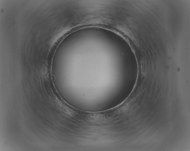 X0000073871452200608170955