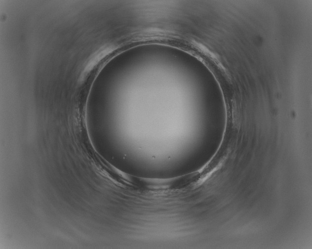 X0000073871453200608170955