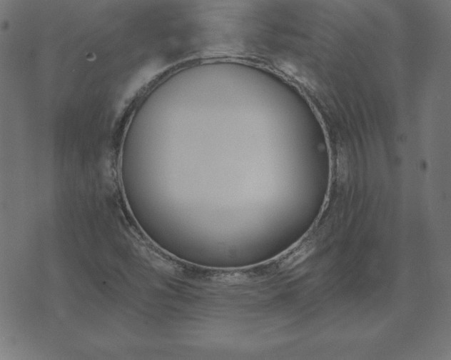 X0000073871454200608170955