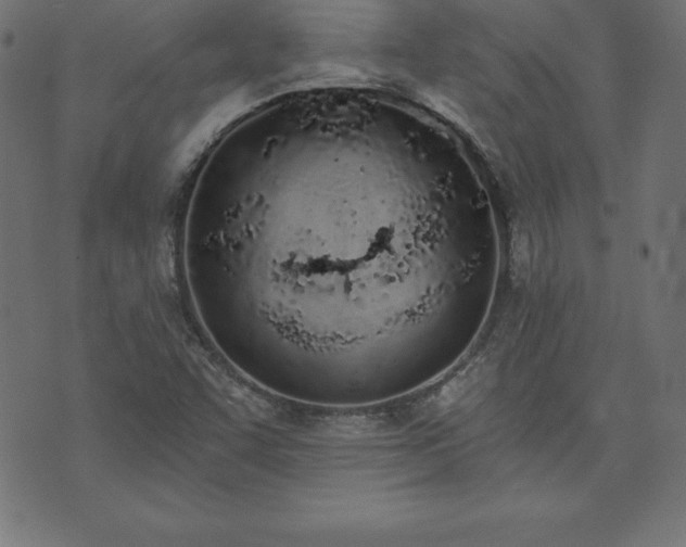 X0000073871455200608170955