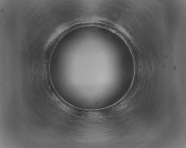 X0000073871456200608170955